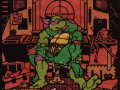 toon_1239936986639_206730_-_Donatello_Raphael_Teenage_Mutant_Hero_Turtles_T_M_N_T.jpg